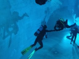 20230303 Nemo 33